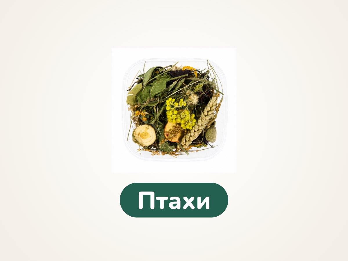Птахи