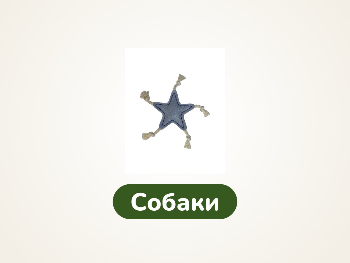 Собаки