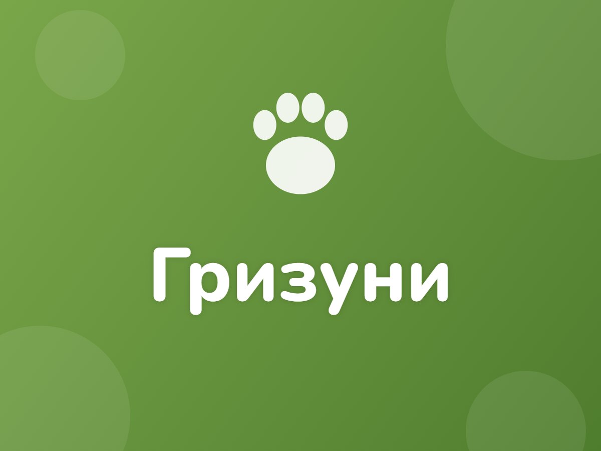 Гризуни