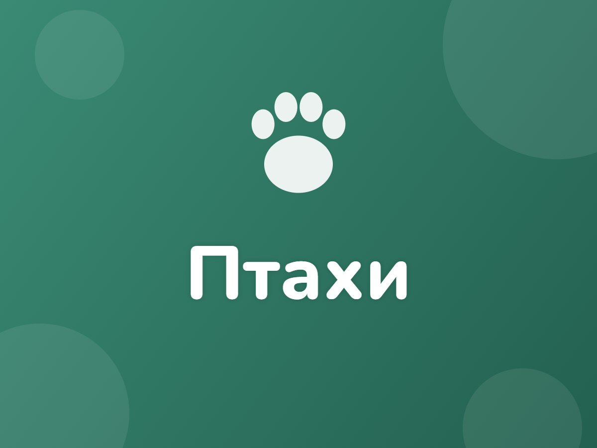 Птахи