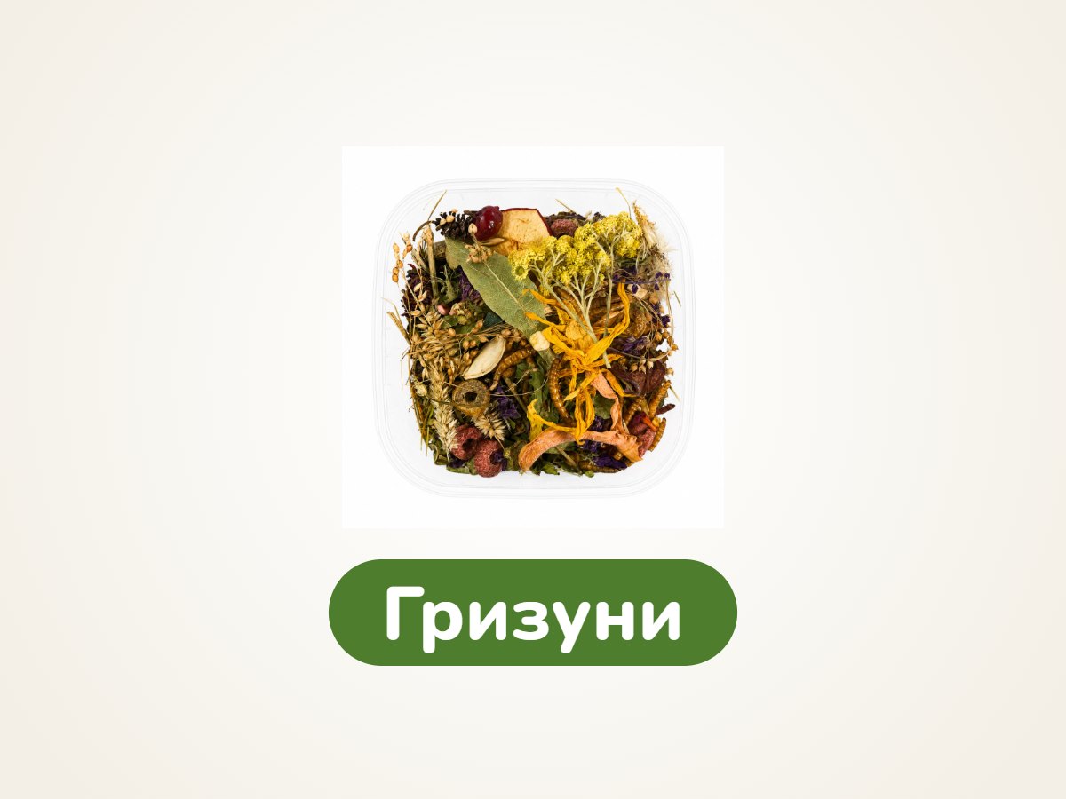 Гризуни